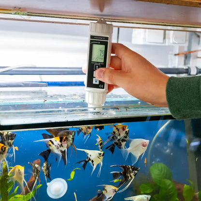 PCE-DOM 10 - Versatile Oxygen Meter for Water & Air Analysis