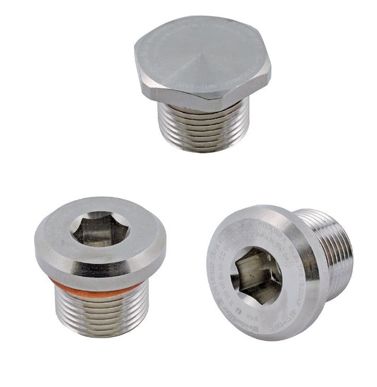 1218970000 - Durable Brass M32 Blank Plug with Hexagon Head  (Pack of 12)
