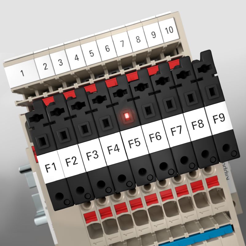 2429010000 - Durable 4mm² 500V Fuse Distribution Terminal for TS 35 Rail  (Pack of 50)