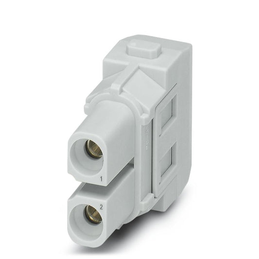 2748330000 - 690V Dual Pole Power Module, 40A Axial Connection  (Pack of 2)