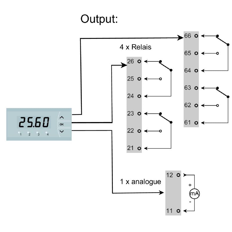 2920060000 - Digital Display for Panel Installation, Real-Time Process Values