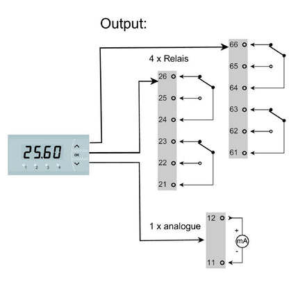 2920060000 - Digital Display for Panel Installation, Real-Time Process Values