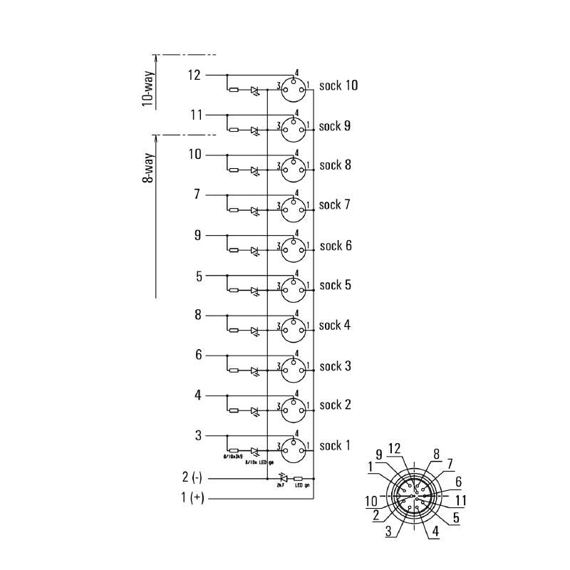 1871680000 - M12 12-Pole PNP Outlet with LED, 10-30V Operation