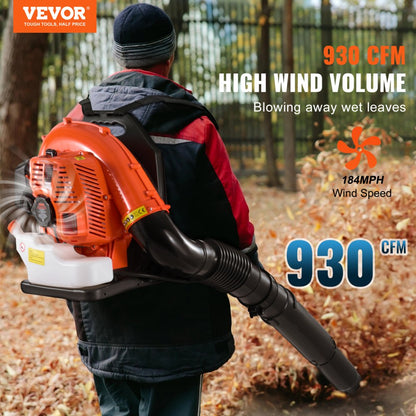 QS25Q79BF - 79CC Gas Leaf Blower, 184 MPH Airflow, Efficient & Durable