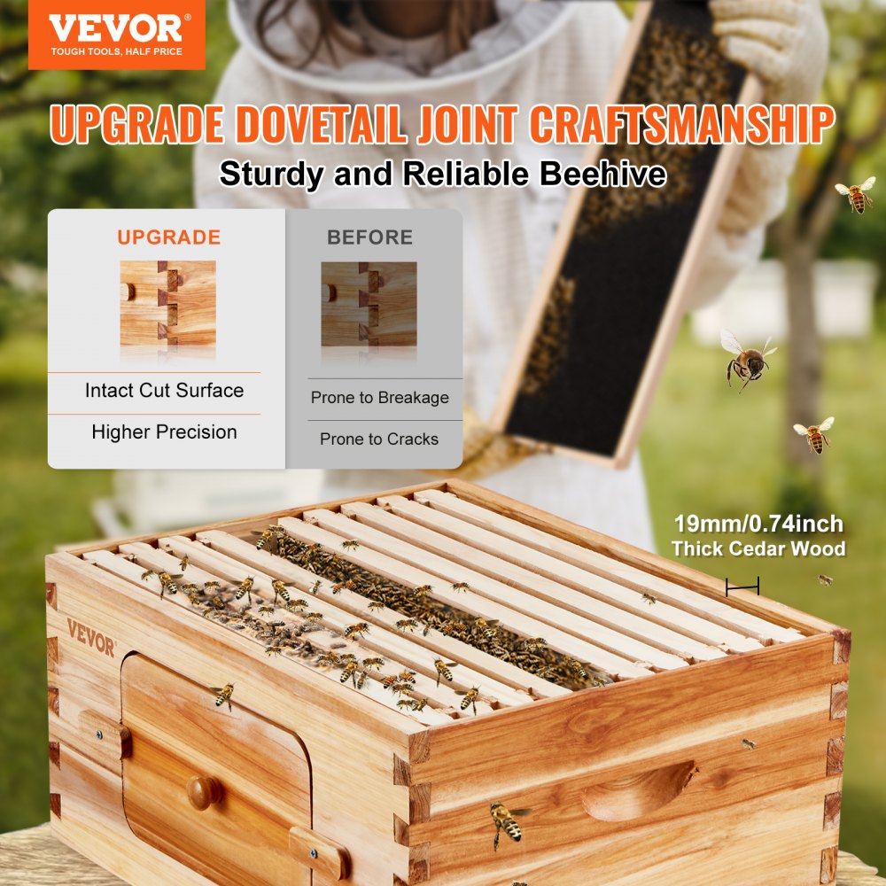 FX2 - Complete Cedar Bee Hive Starter Kit with Transparent Windows and 30 Frames