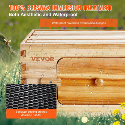 FX2 - Complete Cedar Bee Hive Starter Kit with Transparent Windows and 30 Frames