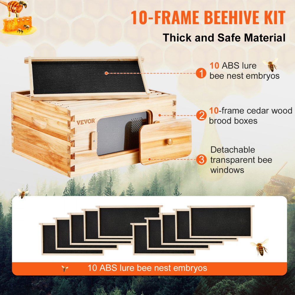 FX2 - Complete Cedar Bee Hive Starter Kit with Transparent Windows and 30 Frames