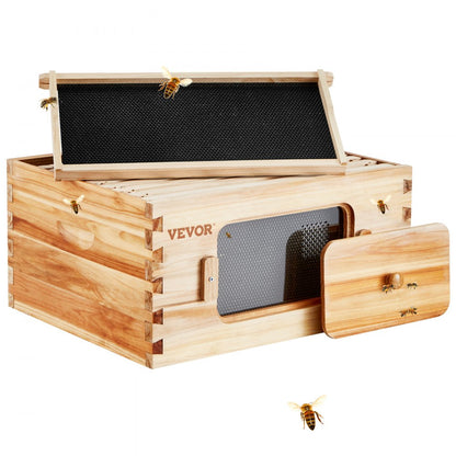 FX2 - Complete Cedar Bee Hive Starter Kit with Transparent Windows and 30 Frames