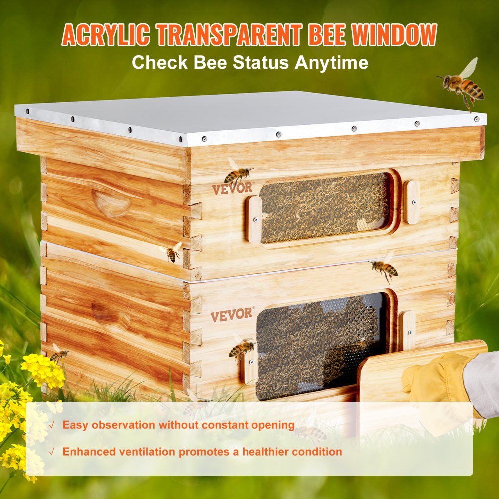 FX1+1 - 20-Frame Cedar Bee Hive Kit with Acrylic Viewing Windows