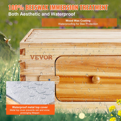 FX1+1 - 20-Frame Cedar Bee Hive Kit with Acrylic Viewing Windows