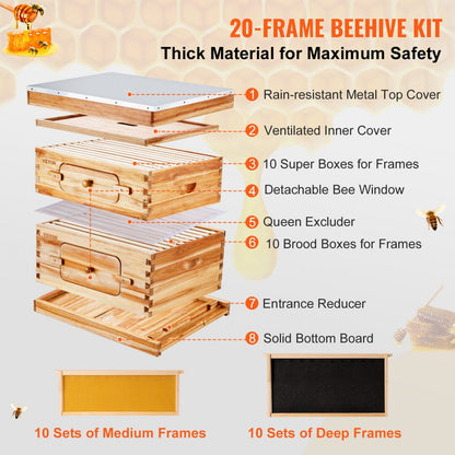 FX1+1 - 20-Frame Cedar Bee Hive Kit with Acrylic Viewing Windows