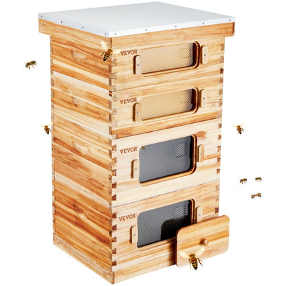 FX2+2 - 40-Frame Cedar Bee Hive Kit with Easy Assembly & Acrylic Windows