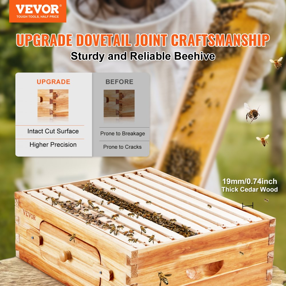 FX1 - Durable Cedar Beehive Kit with 10 Frames & Acrylic Windows