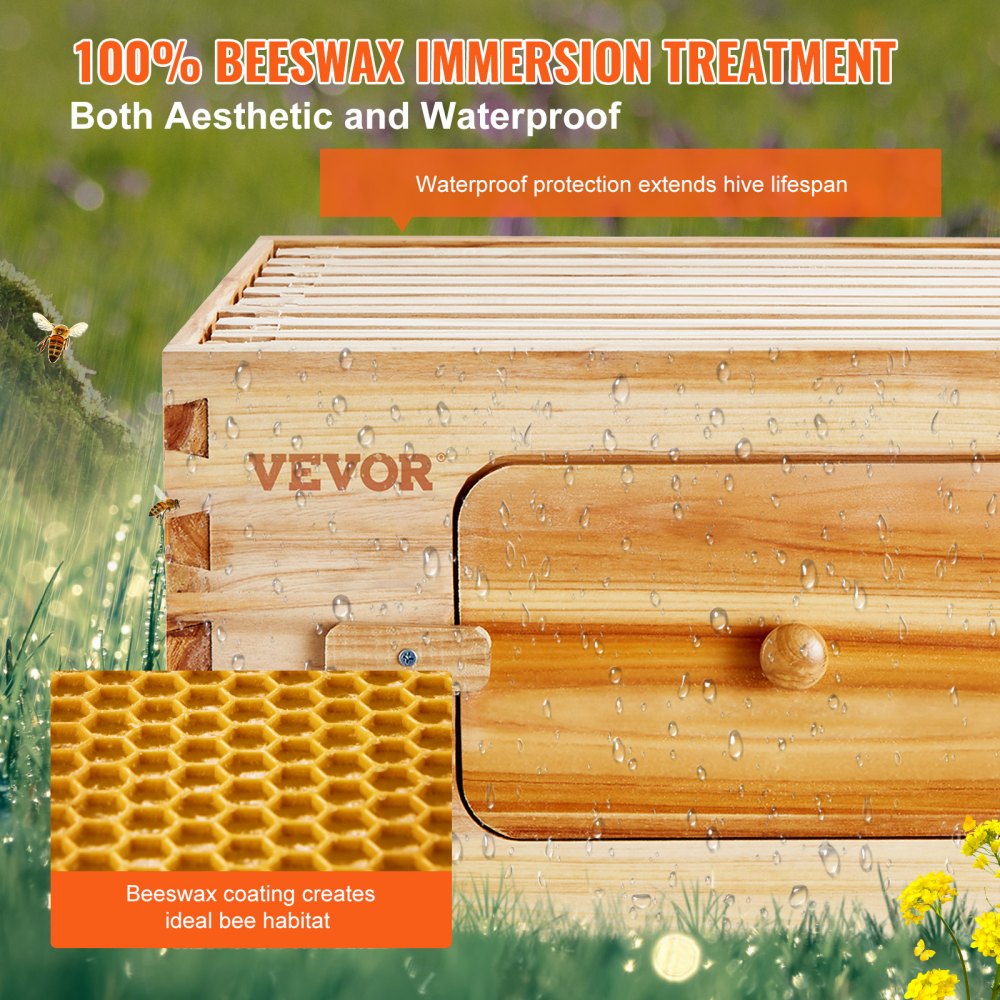 FX1 - Durable Cedar Beehive Kit with 10 Frames & Acrylic Windows