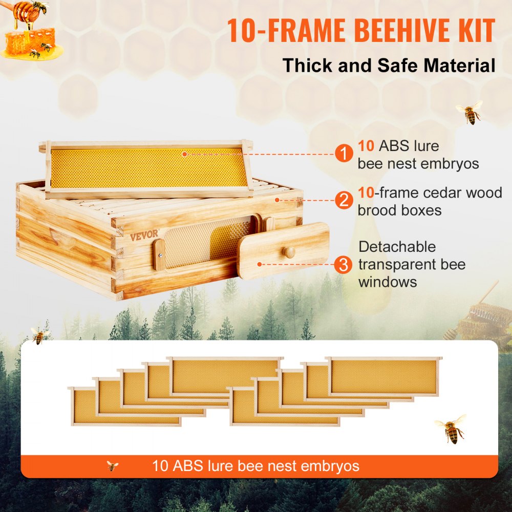 FX1 - Durable Cedar Beehive Kit with 10 Frames & Acrylic Windows