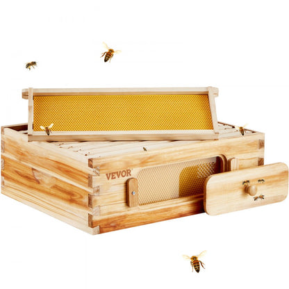 FX1 - Durable Cedar Beehive Kit with 10 Frames & Acrylic Windows
