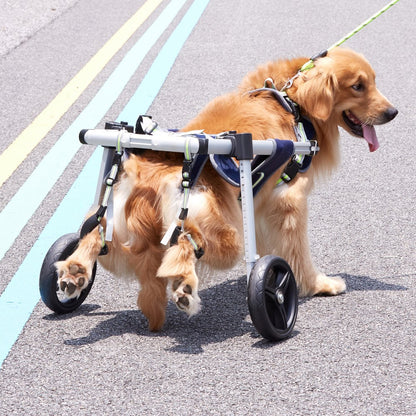 SS2-L - Lightweight Aluminum Dog Wheelchair for 48-88 lbs Pets
