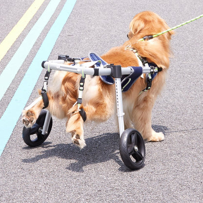SS2-M - Lightweight Adjustable Dog Wheelchair for Back Legs, 5.5lbs