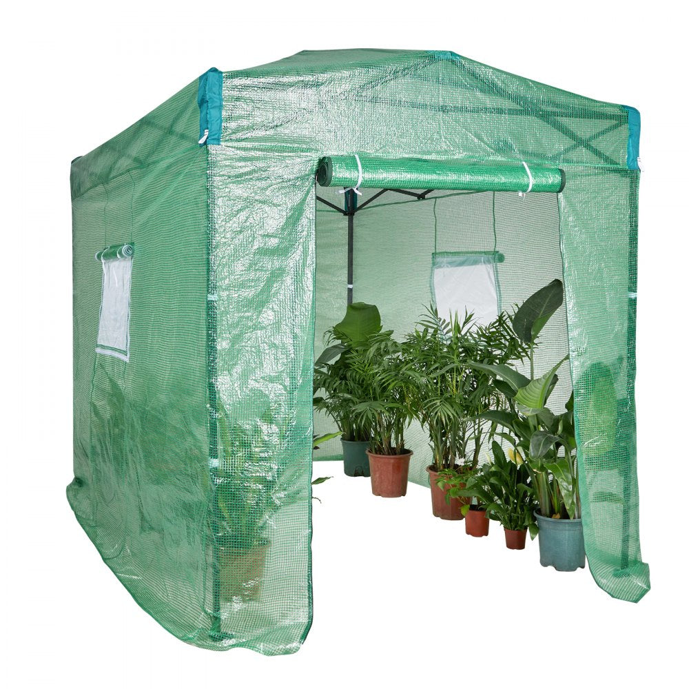 010423954141 - Portable 8'x6'x7.5' Greenhouse with Durable PE Cover
