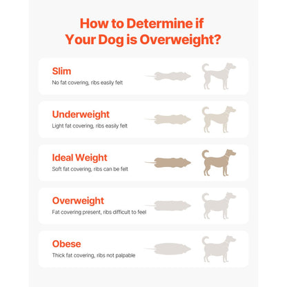 JK360-2 - Electric Treadmill for Dogs Up to 200 lbs, Adjustable Incline