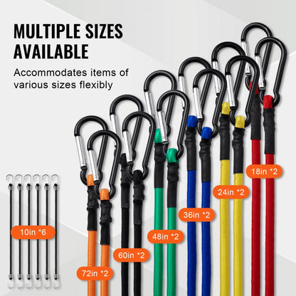 DJ-CB002 - Heavy-Duty Bungee Cord Set with 8mm Steel Carabiners