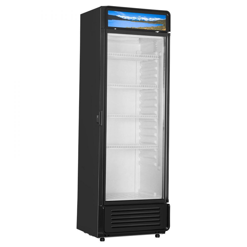 XLS-405WG - 13.3 cu.ft Glass Door Merchandiser with 5 Adjustable Shelves