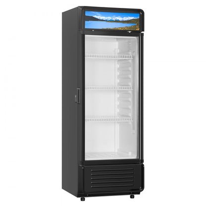 XLS-215WG - 6.9-cu.ft Glass Door Refrigerator for 168 Drinks, 3 Shelves