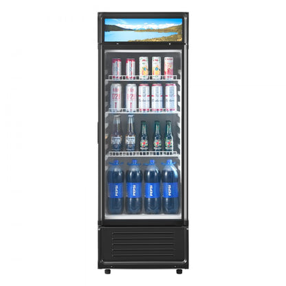 XLS-215WG - 6.9-cu.ft Glass Door Refrigerator for 168 Drinks, 3 Shelves