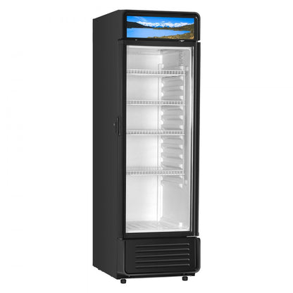 XLS-295WG - 9.7 cu.ft Glass Door Beverage Cooler with 4 Shelves