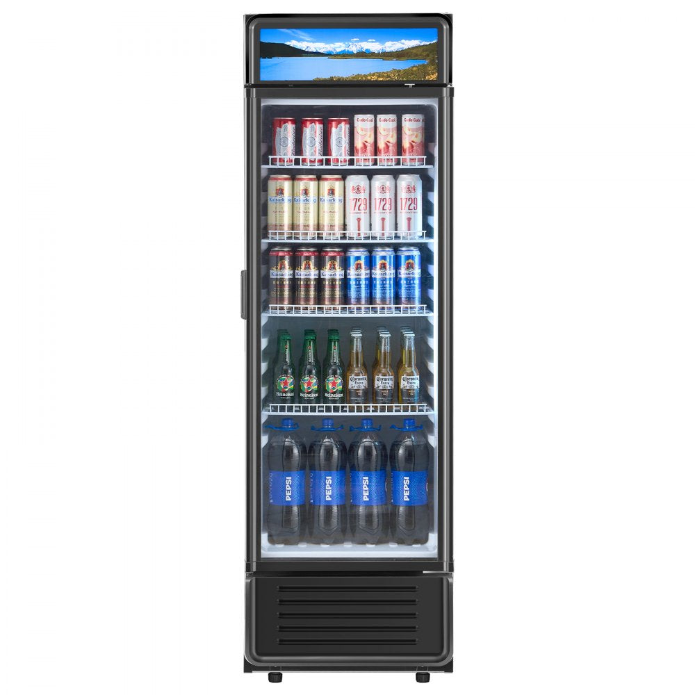 XLS-295WG - 9.7 cu.ft Glass Door Beverage Cooler with 4 Shelves
