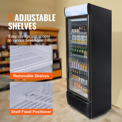 XLS-450WG - 14.8 Cu.Ft Glass-Door Fridge with 5 Shelves