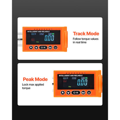 SX11100 - Precision Digital Torque Wrench 3/8" Drive with Case