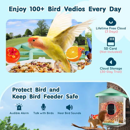 FB-A03 - 2K HD Smart Bird Feeder with AI, 2L Capacity