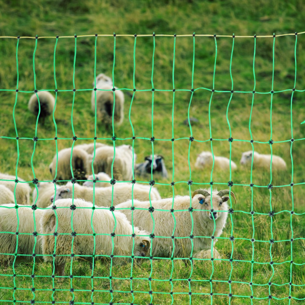 S1261015D - 50" Electric Fence Netting for Goats & Sheep, Portable PE Fencing