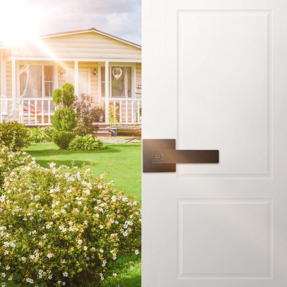 D921-ET-BLK(2PCS) - Modern Zinc Alloy Entry Lever Handle Set with 2 Keys