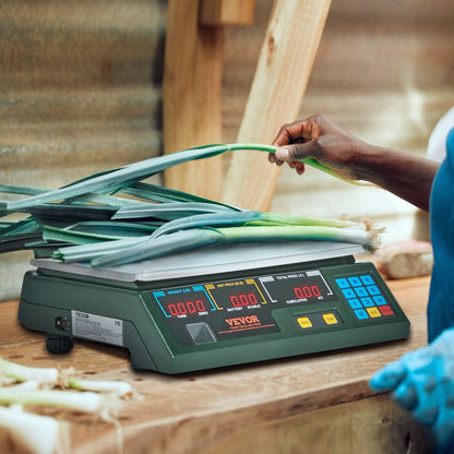 ACS-30Ab - High Precision 66 lbs Electronic Scale with Dual Display