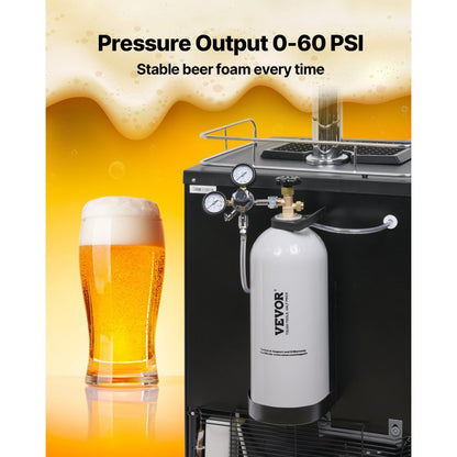 RY-175-3000-H-01 - 10 lbs Aluminum CO2 Tank with CGA320 Valve, DOT Approved