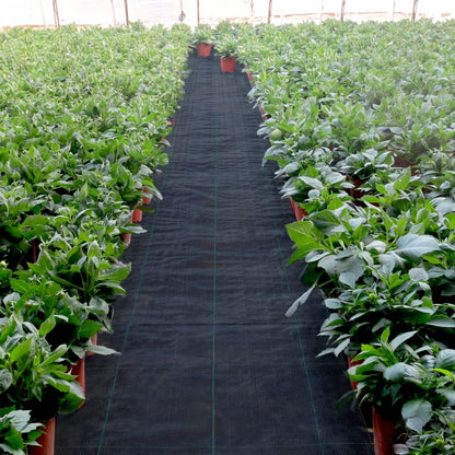 VV-FCB-PE 3*300FT 5.8OZ - Durable Weed Barrier Fabric for Garden Protection