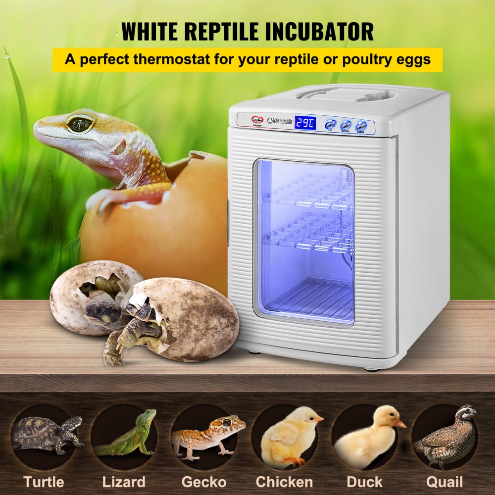 010564986179 - 25L Thermoelectric Incubator with LED Display & Dual Functionality