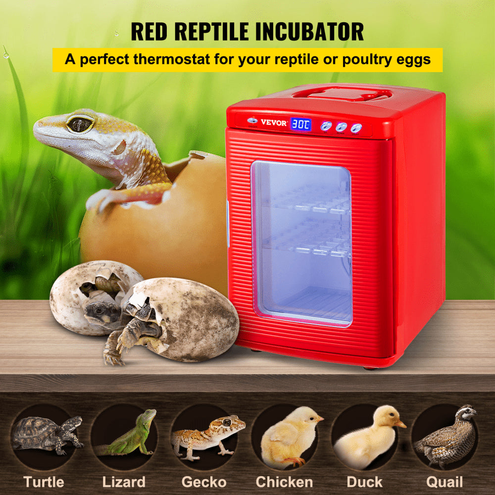 010578618601 - 25L Thermoelectric Reptile Incubator with LED Temp Control