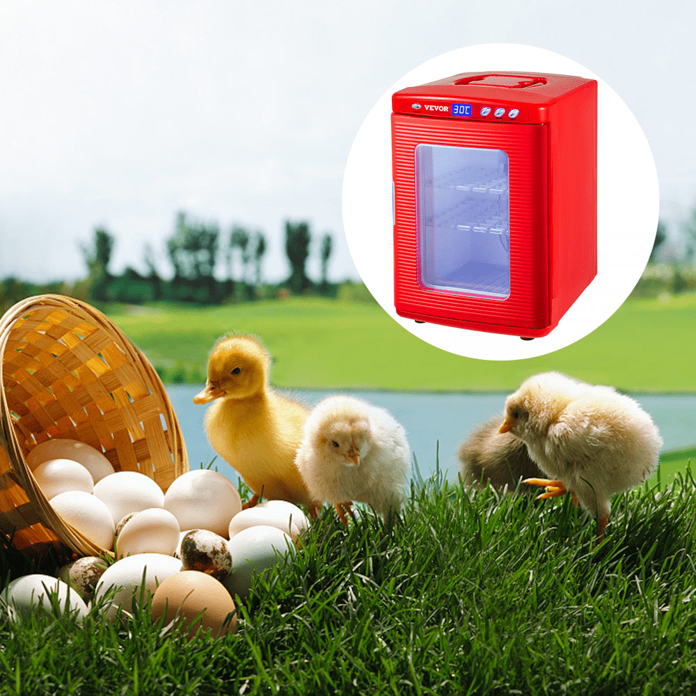 010578618601 - 25L Thermoelectric Reptile Incubator with LED Temp Control