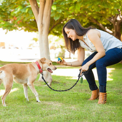 CWS-12mm-6FT - Durable 6ft Nylon Dog Leash with Comfortable Handle & Waste Bag Holder