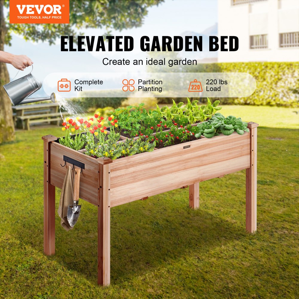 010389019866 - 47.2" Durable Fir Wood Raised Garden Bed with Partition & Tools