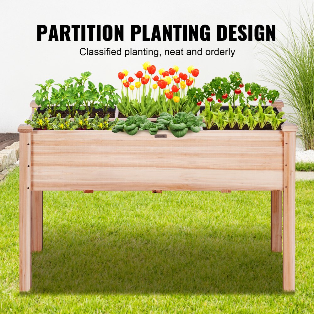 010389019866 - 47.2" Durable Fir Wood Raised Garden Bed with Partition & Tools