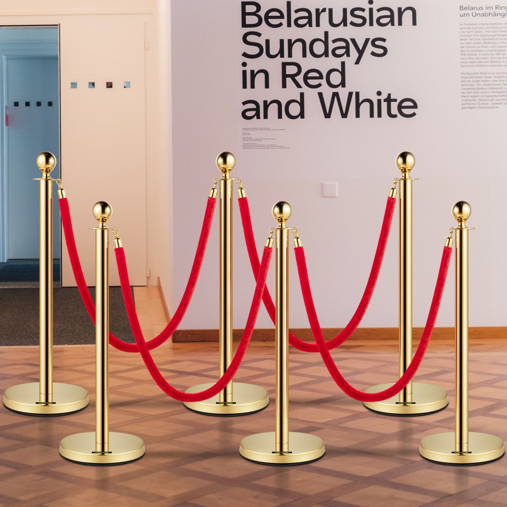 Gold Stanchions 6Pcs - Durable Stainless Steel Queue Posts with Velvet Ropes