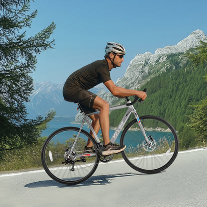 SS-700C-04 - 700C Aluminum Road Bike with 14 Speeds & Disc Brakes