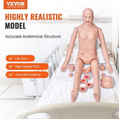 LD-140 - Life-Size Nursing Manikin, 68.9" for Training Scenarios