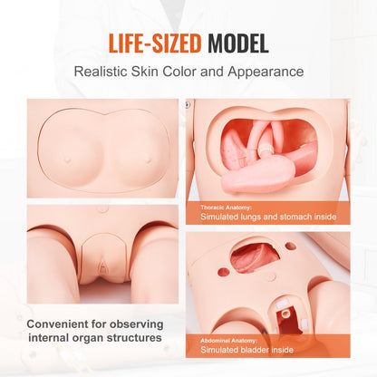 LD-140 - Life-Size Nursing Manikin, 68.9" for Training Scenarios