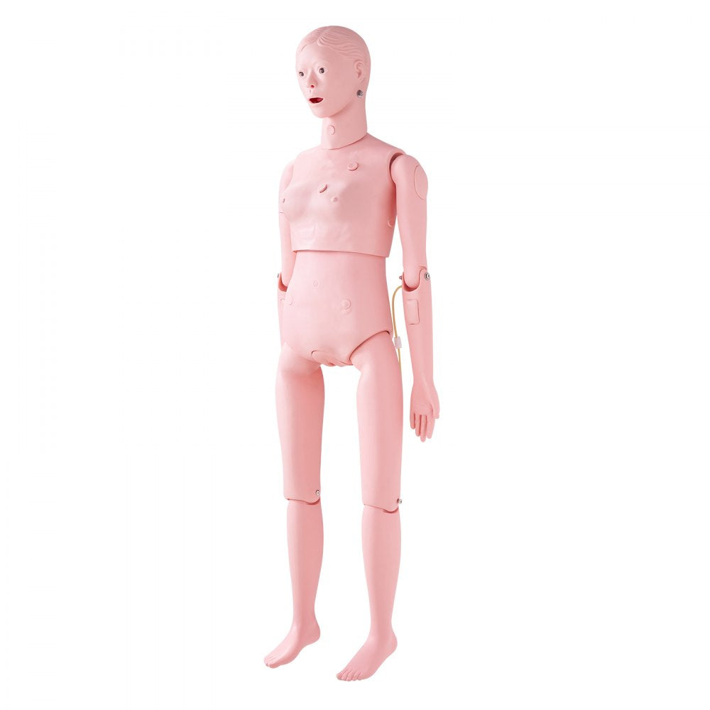LD-134 - Realistic Female Nursing Manikin for Comprehensive Training