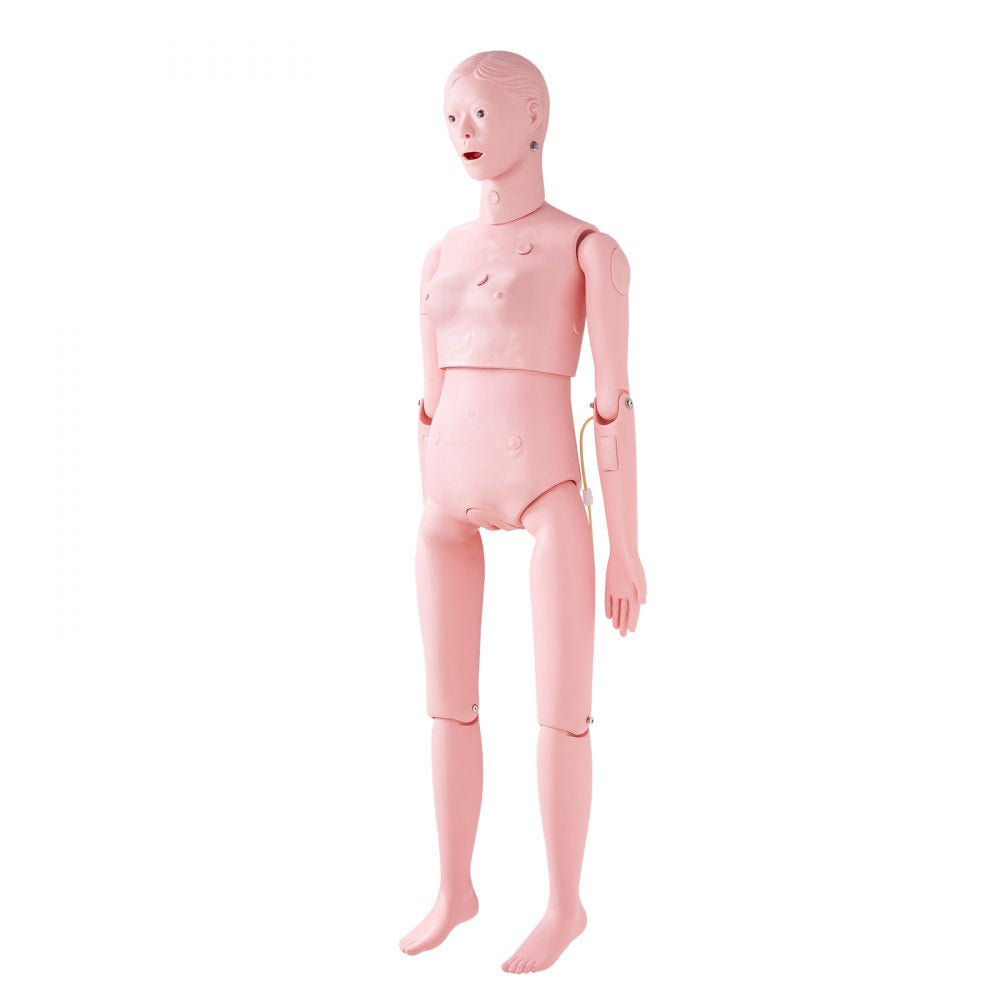 LD-134 - Realistic Female Nursing Manikin for Comprehensive Training